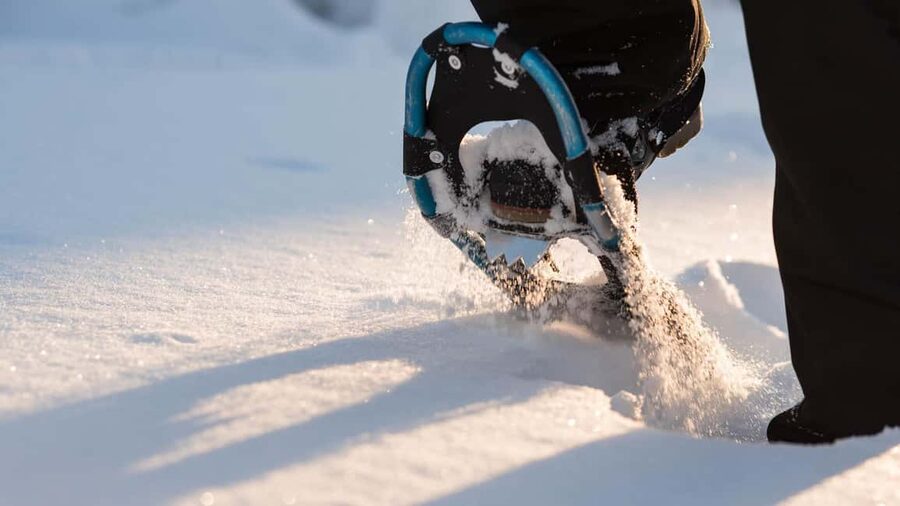 Snowshoeing in the Arctic Wilderness - Van ride to the wilderness stop: short, then real winter starts