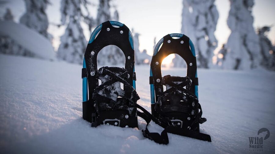 Snowshoeing in the Arctic Wilderness - Price and value: is $140 for 4 hours fair?