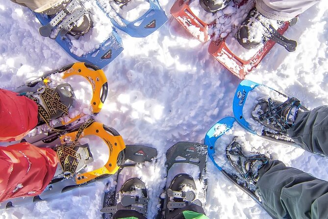 Snowshoeing tour with Wild Lunch - Entering Lapland: the drive from Rovaniemi into the woods