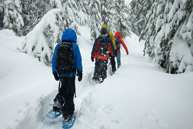 Snowshoeing tour with Wild Lunch - Snowshoes and poles: gear that helps you move confidently