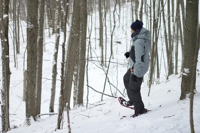 Snowshoeing tour with Wild Lunch - How the 11:00 am timing works with pickup and drop-off
