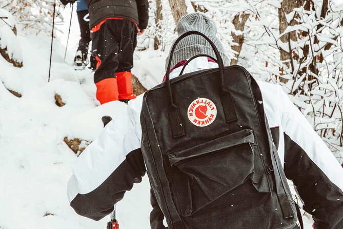 Snowshoeing tour with Wild Lunch - Price and value: what $95.53 actually buys you