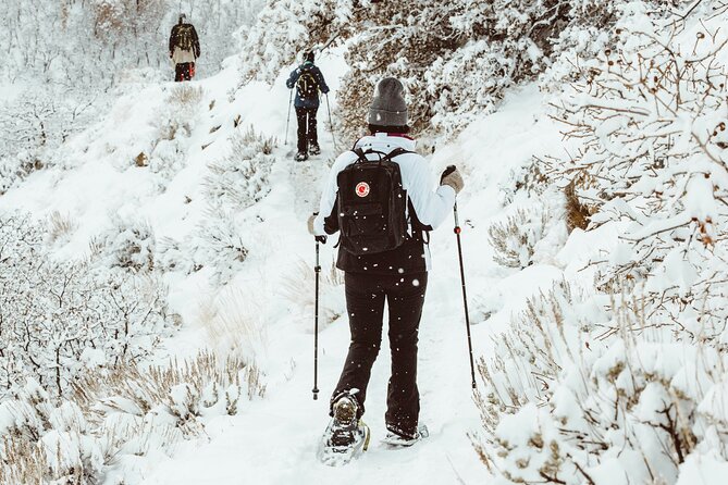 Snowshoeing tour with Wild Lunch - What to wear when winter overalls are not included