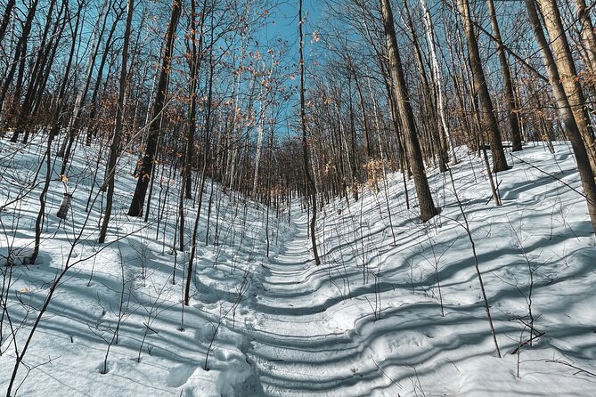 Snowshoeing tour with Wild Lunch - Weather and how the day can change
