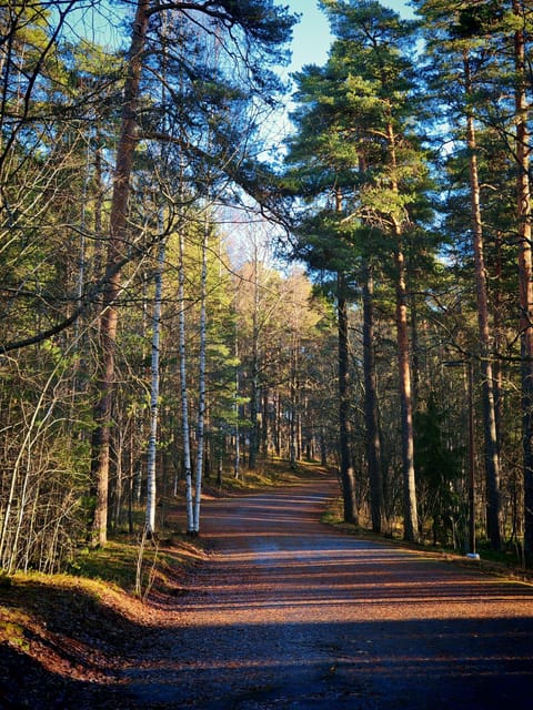 Tampere Panoramic Tour - A brief history lesson that makes the city make sense