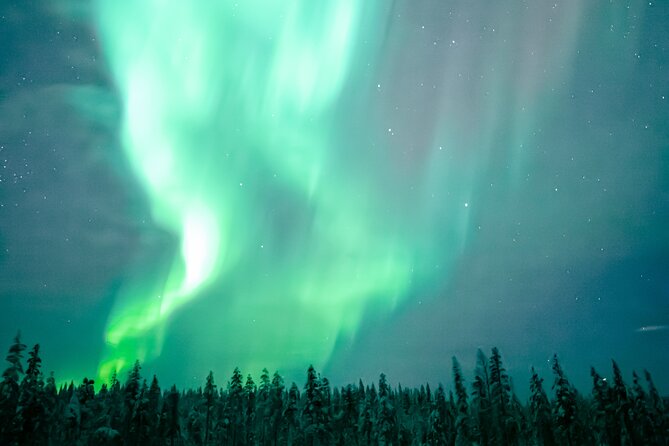 The Ultimate Guaranteed Aurora Hunt - Price and value: is $216.74 fair for this kind of aurora hunt?
