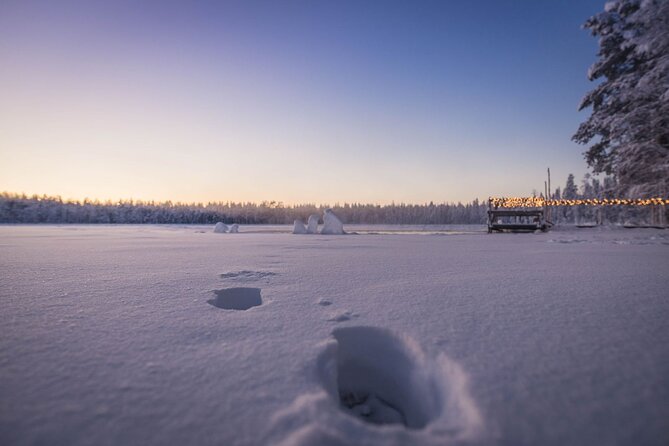 The Ultimate Lappish Adventure, Full Day Tour, Meals Included - Who This Tour Fits Best (and Who Might Want a Different Day)