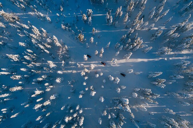 Thrill of Snowmobiling for Adults Only - The 3-Hour Plan That Feels Like More Than 3 Hours