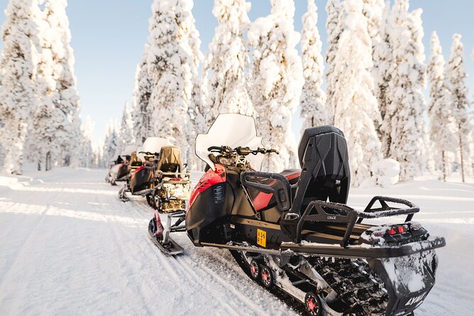 Thrill of Snowmobiling for Adults Only - What the Drive Feels Like, Including Speed and Photo Tradeoffs