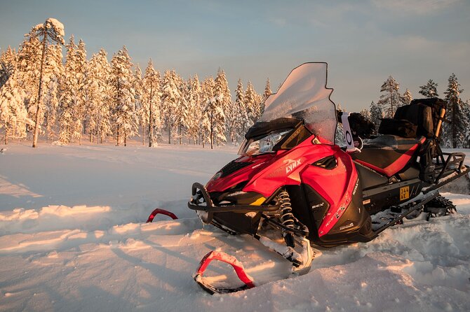 Thrill of Snowmobiling for Adults Only - Price and Value: Is $215 Worth It?