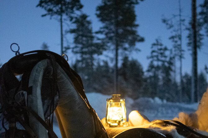 Traditional Finnhorse Sleigh Ride at SCV (3km) - Why This Finnhorse Sleigh Ride Feels Special in Rovaniemi