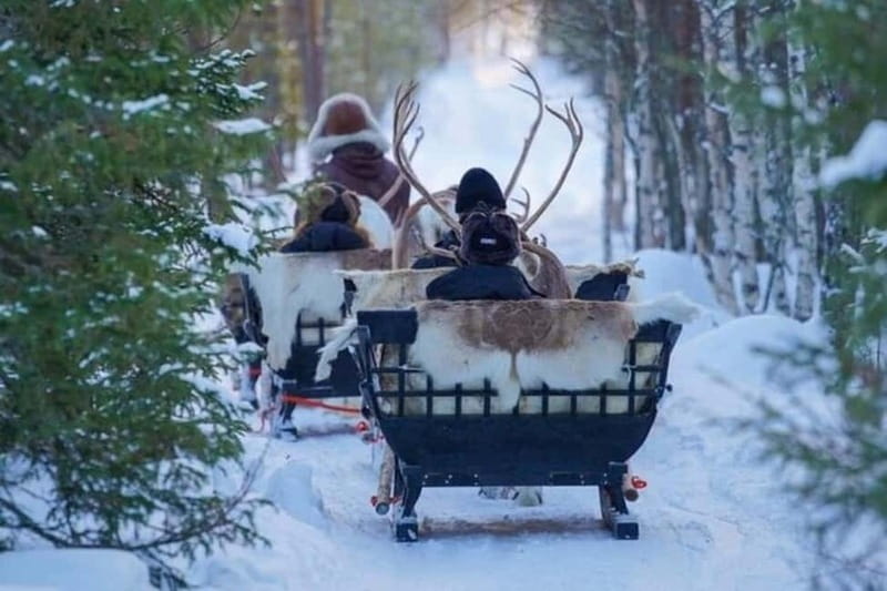 Traditional Reindeer Farm Visit with a Short Sleigh Ride - Key Highlights You Will Actually Care About
