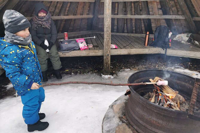 Traditional Sight-Skiing Experience in Kemi - Price and Value: Is $82.91 Worth Two Hours in Finland?