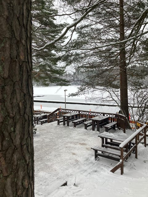 Traditional smoke sauna experience and national park visit - Campfire snacks and berry juice: the break that sets the tone