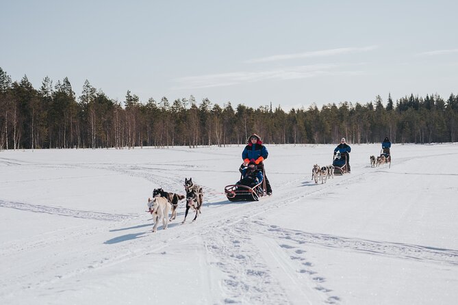 Trail of Tails Step into the Mushing Life in 5KM Husky Safari - Who should book this husky safari in Rovaniemi
