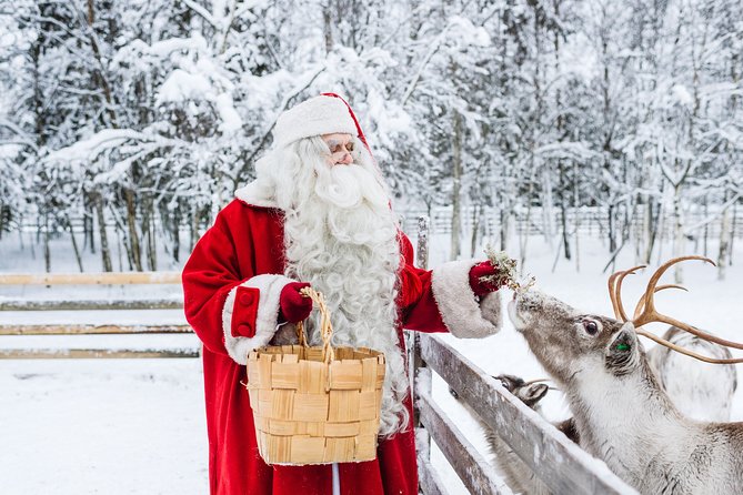 Trip to Arctic Circle, Santa Claus Village and Santas Reindeer - Key Highlights You’ll Care About