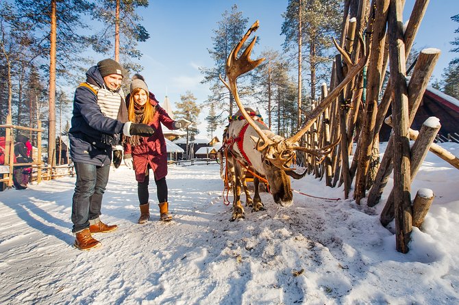 Trip to Arctic Circle, Santa Claus Village and Santas Reindeer - Booking Smart: Timing, Language, and Staying Comfortable
