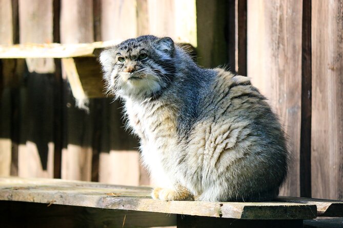 Trip to Ranua Wildlife Park - Guide-Led Details That Actually Change Your Day