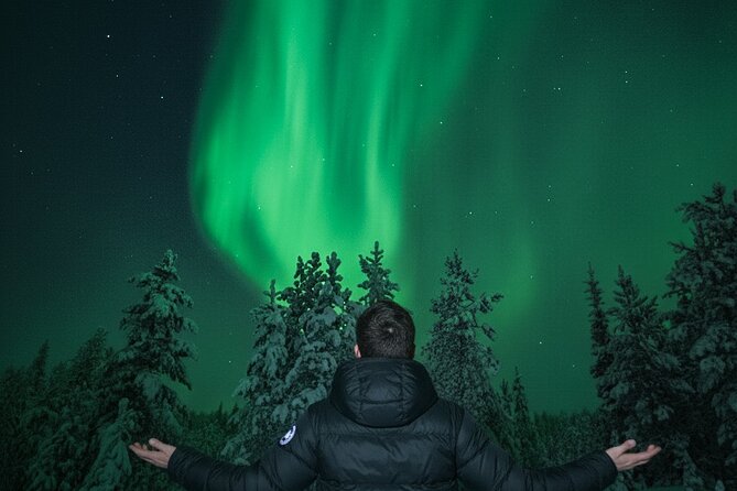 Ultimate Aurora Borealis Tour Rovaniemi - Group size, logistics, and why small feels better