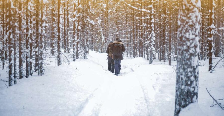 Vikakongas Hike: Nature and Silence - Key highlights to look for