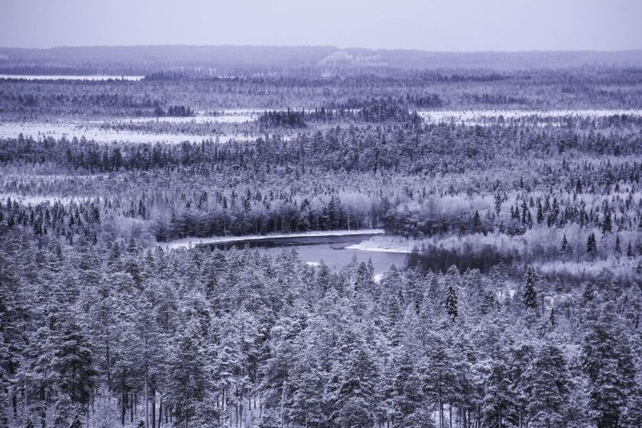 Vikakongas Hike: Nature and Silence - Why the Vikaköngäs Rapids feel so Arctic
