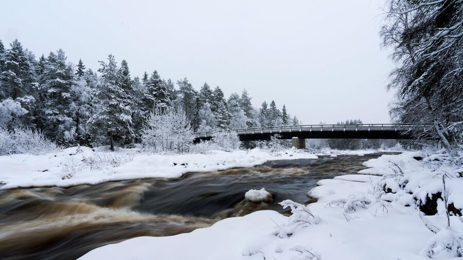 Vikakongas Hike: Nature and Silence - Rovaniemi pickup and the easy 2.5-hour rhythm