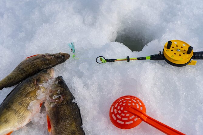 VIP Ice Fishing "ICEBREAKER" Lunch in Glass Igloo - Snow scooters for adults and kids, built into the same outing