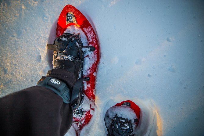 Wilderness snowshoe adventure - Gear First: Snowshoes for Deep Snow Walking