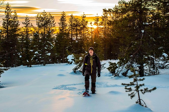 Wilderness snowshoe adventure - The Main Trek Through Arctic Forests (Plus Wildlife Chances)