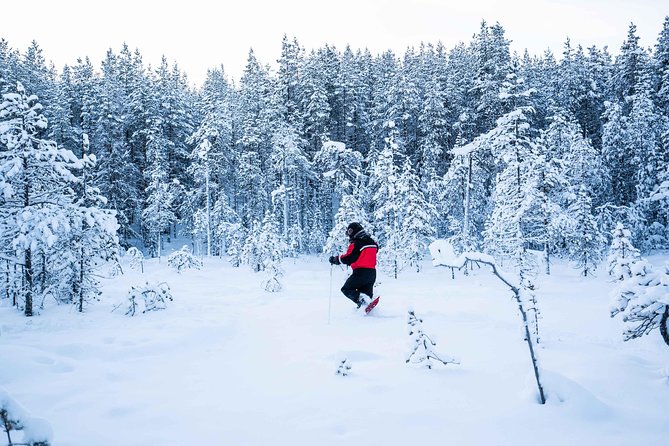 Wilderness snowshoe adventure - Photographer Guide Tips That Actually Change Your Photos