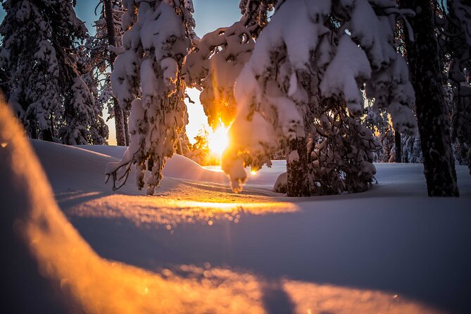 Wilderness snowshoe adventure - Price and Value: Is $126.16 Worth It?