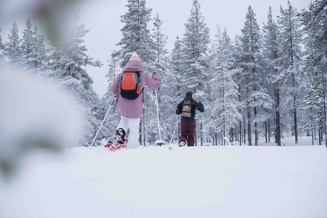 Wilderness snowshoe adventure - Getting There: Minivan Ride and a Clear Meeting Point