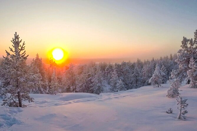 Wilderness Survival Tour - Winter - Getting started in Rovaniemi, then heading out to the taiga