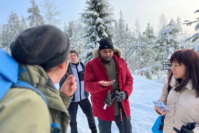Winter Wonderland Hike in a National Park - Quick highlights before you commit