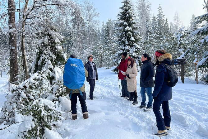 Winter Wonderland Hike in a National Park - Gear that makes or breaks winter walks