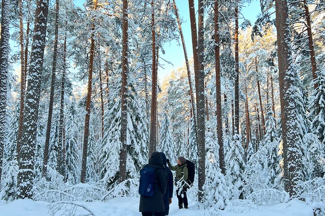 Winter Wonderland Hike in a National Park - What the guides add: named guides, and the tone they bring