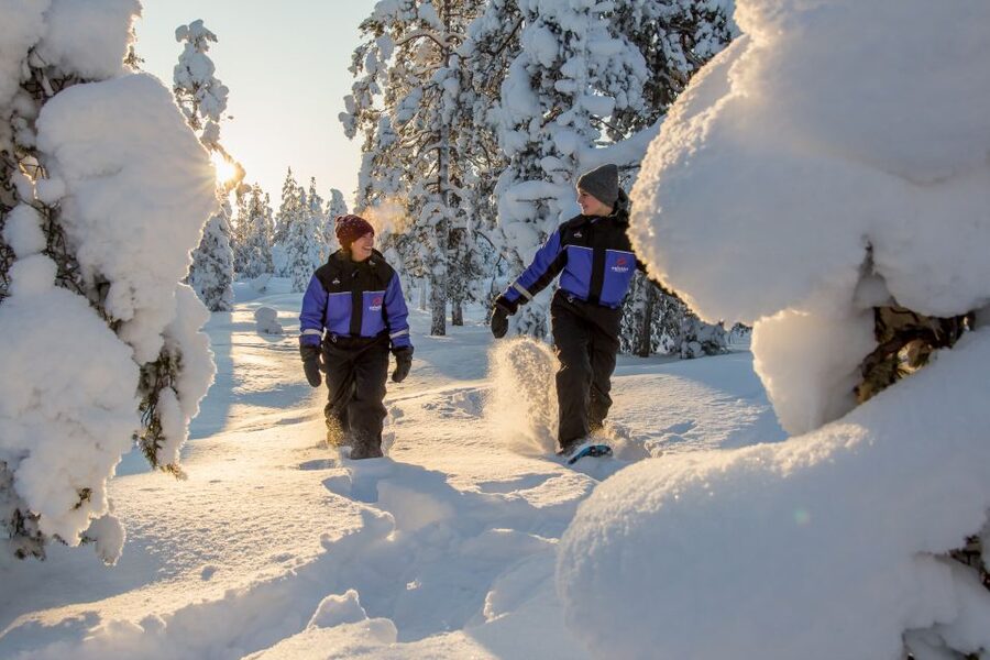 Ylläs: Forest Hike with Snowshoes - Price and value: what $101 buys in Lapland winter time