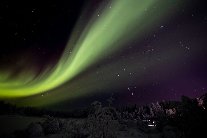 Ylläs: Guided Night Skiing Tour Under the Arctic Sky - Northern Lights odds: what you can and cannot control