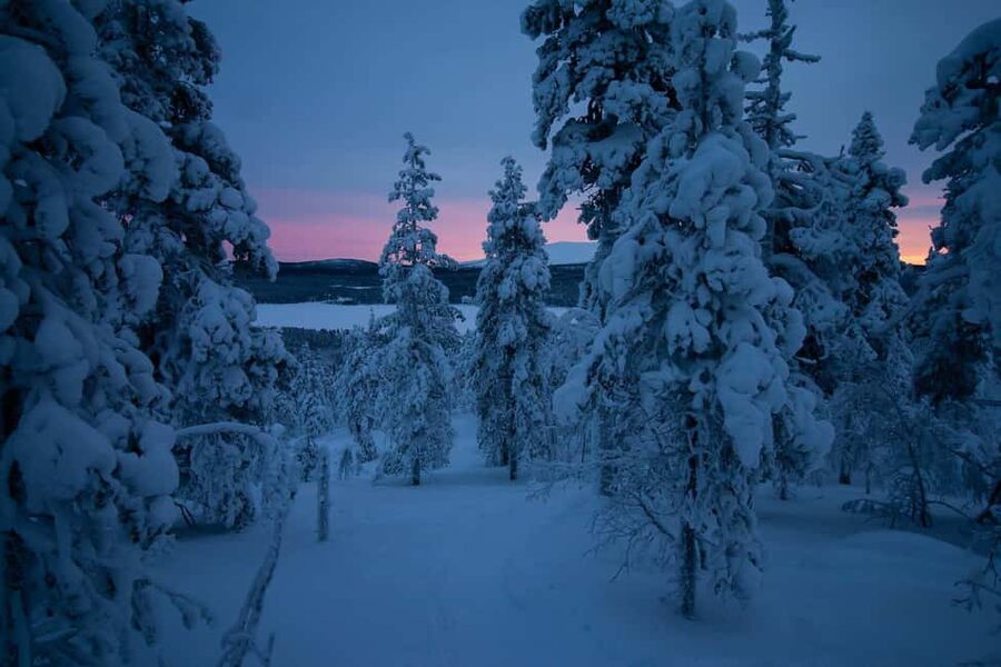 Ylläs: Guided Nordic Skiing Tour in Lapland Wilderness - Meeting at Yllästunturi Visitor Center and Getting Your Gear Ready