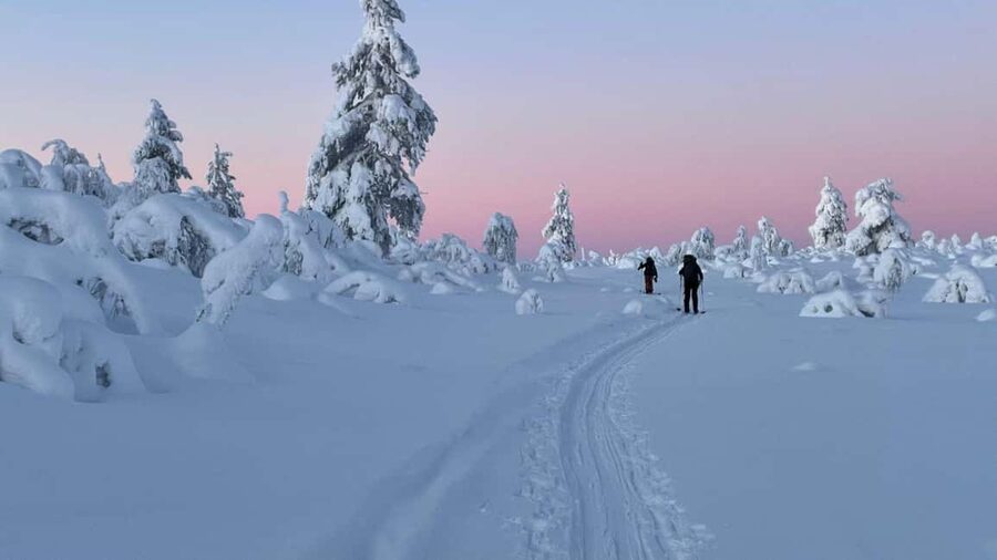 Ylläs: Guided Nordic Skiing Tour in Lapland Wilderness - Pallas-Yllästunturi National Park: Routes, Photo Stops, and That Quiet Lapland Feeling