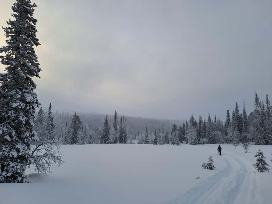 Ylläs: Guided Nordic Skiing Tour in Lapland Wilderness - Campfire Break: Grilled Sausages, Hot Drinks, and a Winter Reset