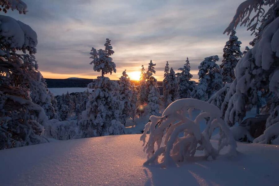 Ylläs: Guided Snowshoeing Adventure to Kesänki Fell - Meet at Yllästunturi Visitor Centre, then transfer to the trail