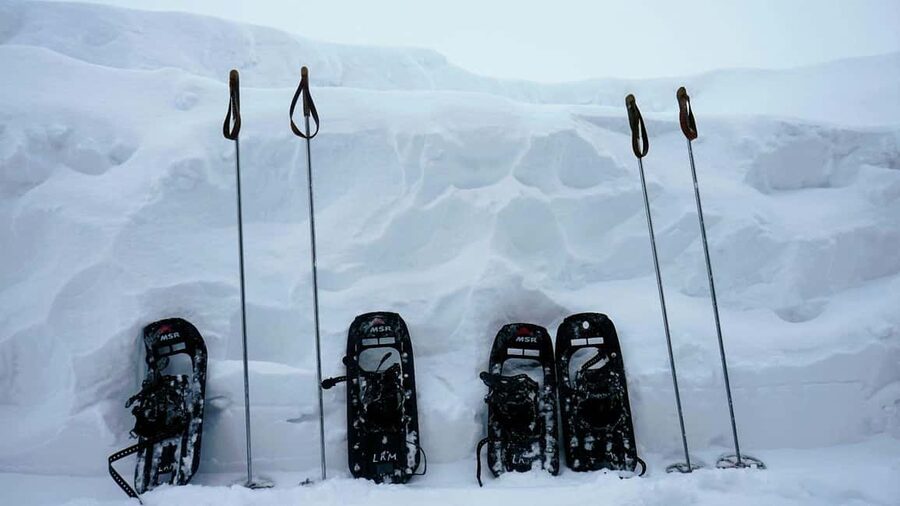 Ylläs: Guided Snowshoeing Adventure to Kesänki Fell - Price and value at $111: what you get for a half-day in winter