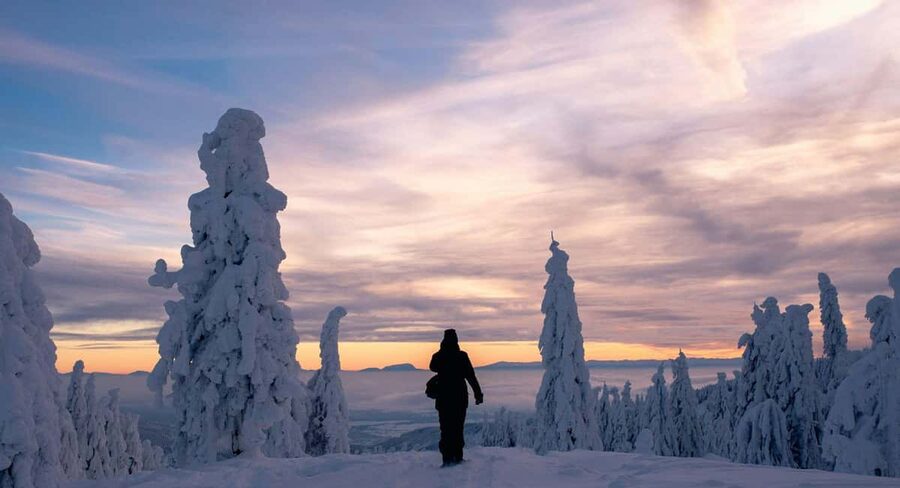 Ylläs: Guided Snowshoeing Adventure to Kesänki Fell - Who this tour is best for, and who should skip it